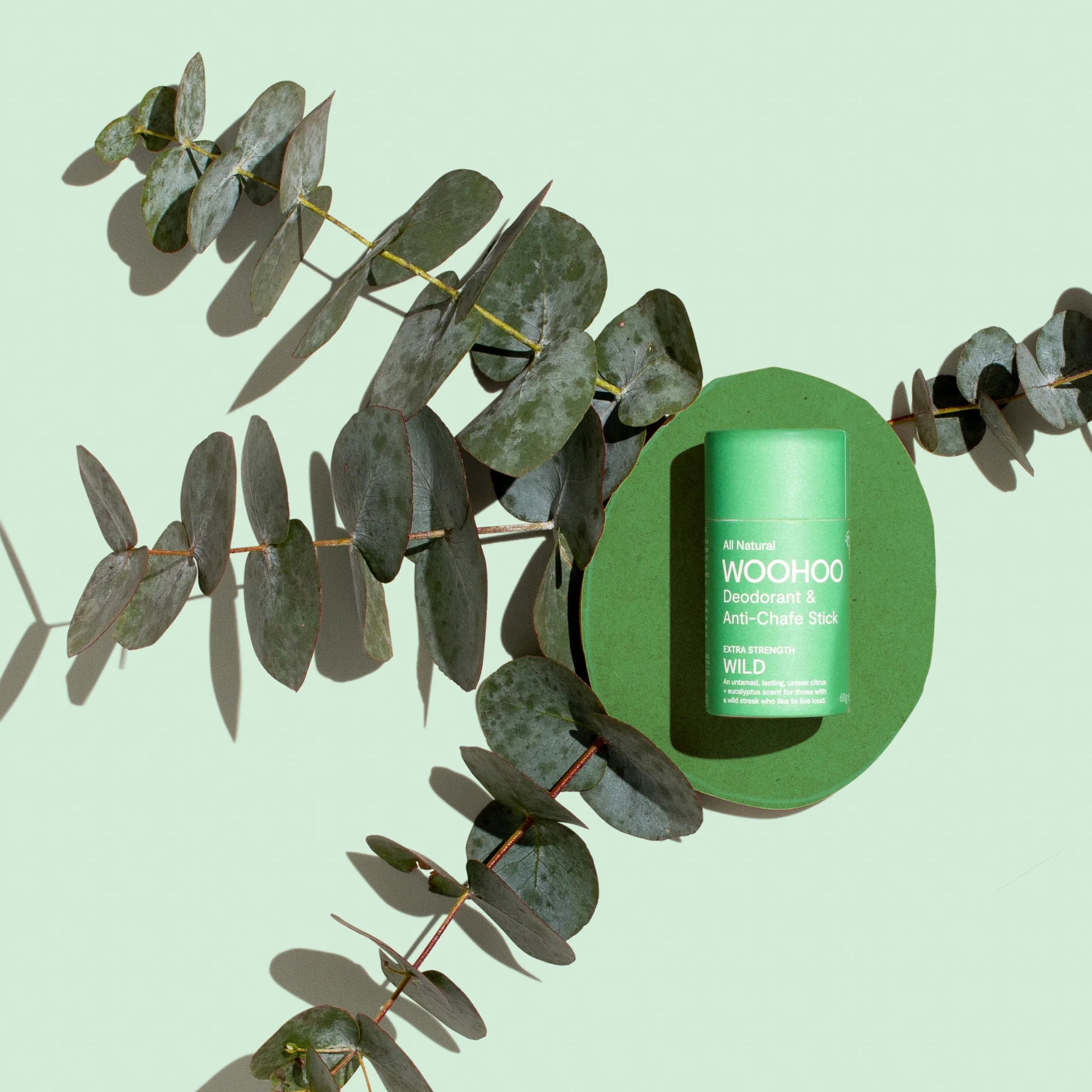 Image of Wild Natural Deodorant Stick laying on eucalyptus to highlight the eucalyptus scent and eucalyptus oil essential ingredient on a light green background